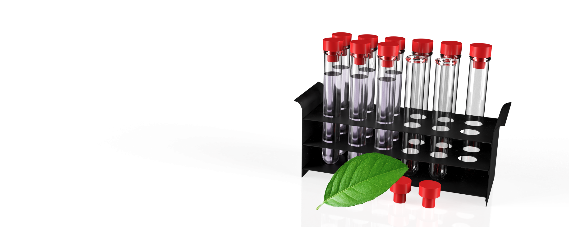 Reliable Diagnostic Tests SA Scientific Ltd.